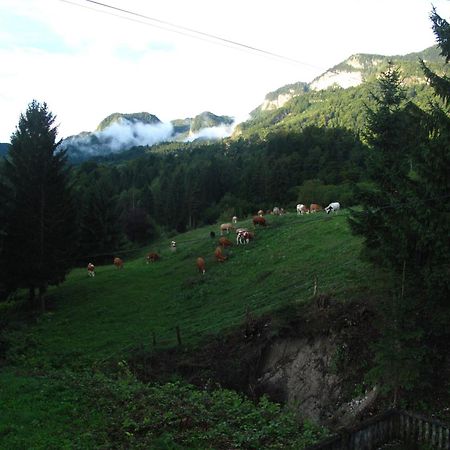 Holiday Home Bela Bohinjska Bela Dış mekan fotoğraf